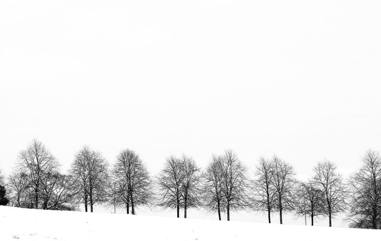 Massage for Winter Health in Glasgow